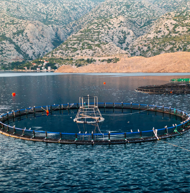 Aquicultura e Piscicultura