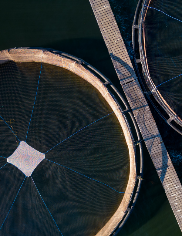 Expertise em tratamento de agua