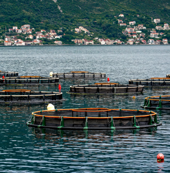 aquicultura e piscicultura Aqualabo